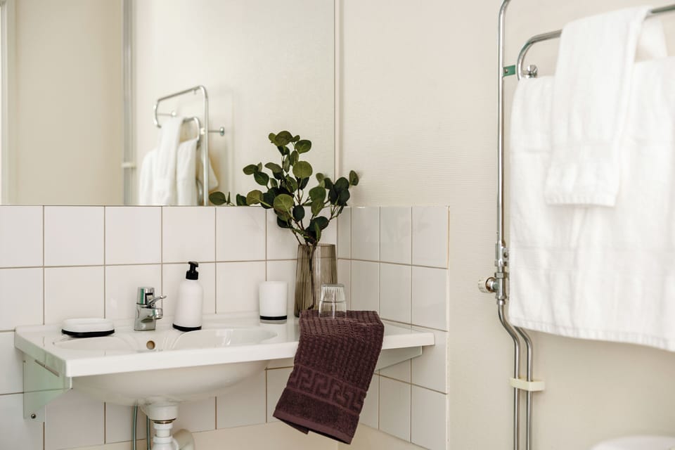 Shower, towels, soap, toilet paper