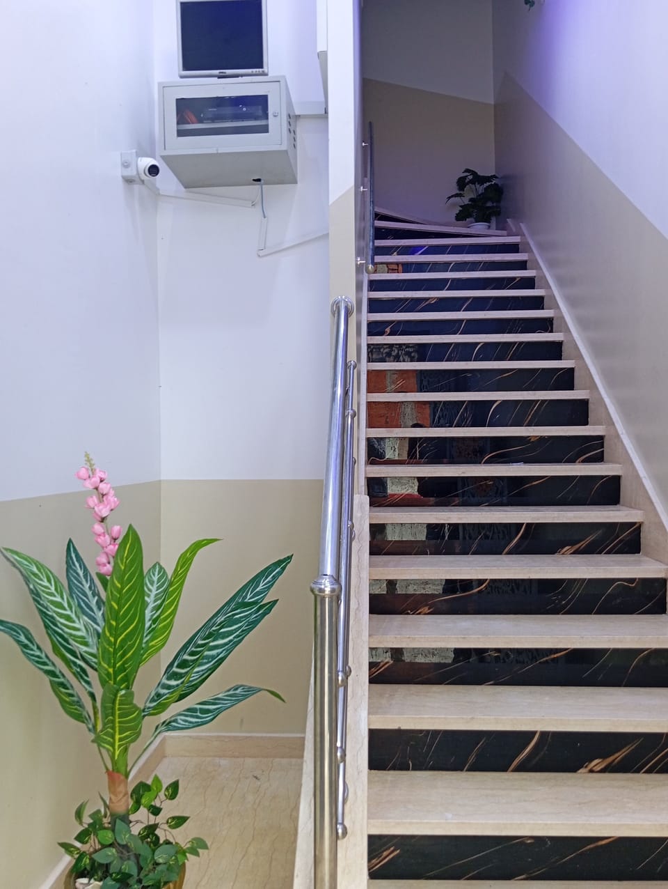 Aphrodite Apartment Apartment in Tangier