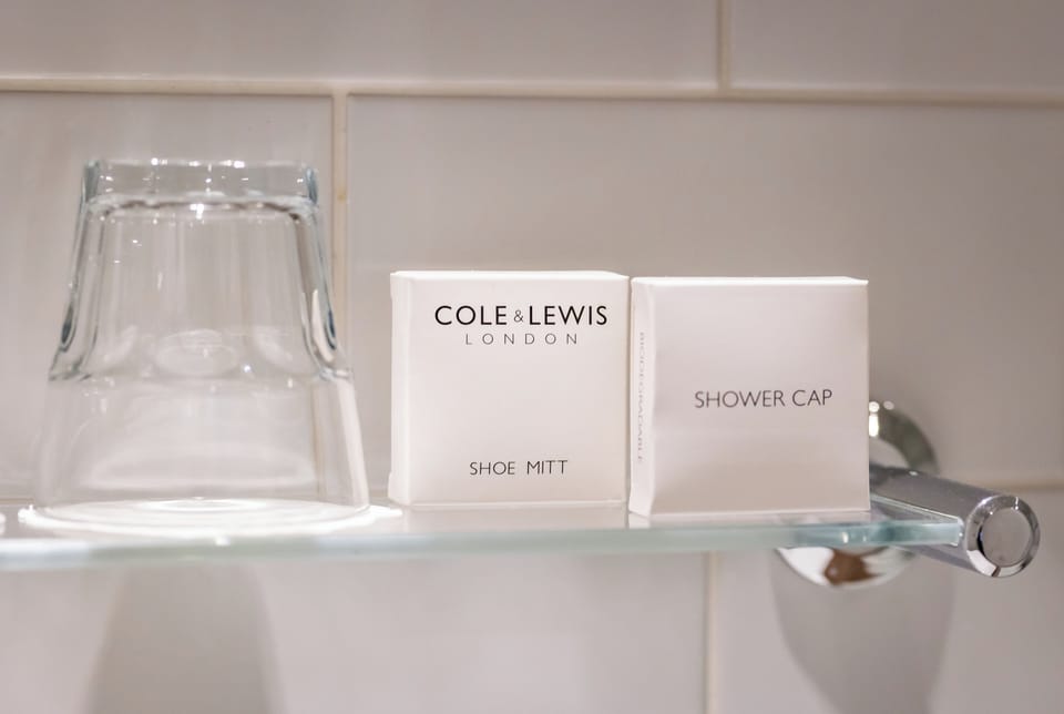 Combined shower/tub, free toiletries, hair dryer, towels