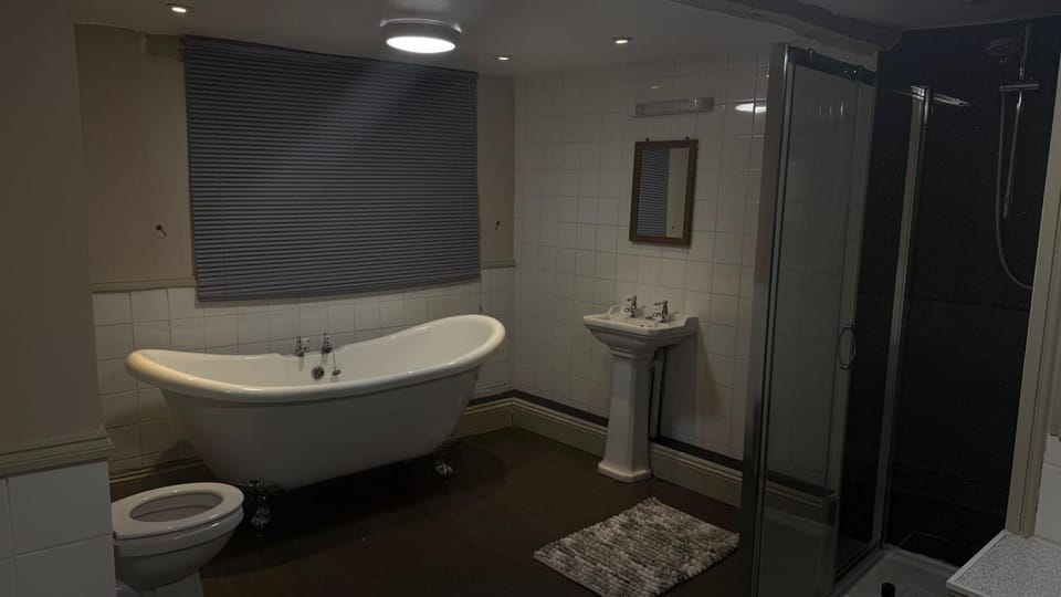 Deluxe Double Room | Bathroom | Free toiletries, towels, soap, shampoo