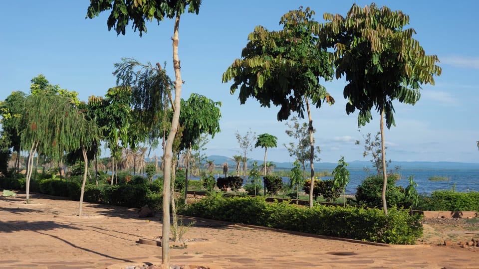 Lake view
