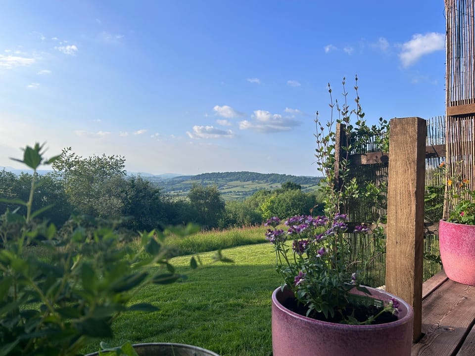 Cabin | Property grounds