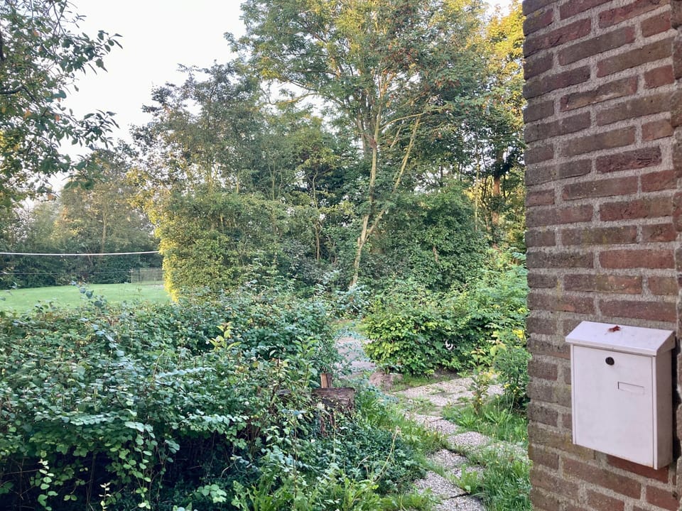 House, 2 Bedrooms, Terrace | Property grounds