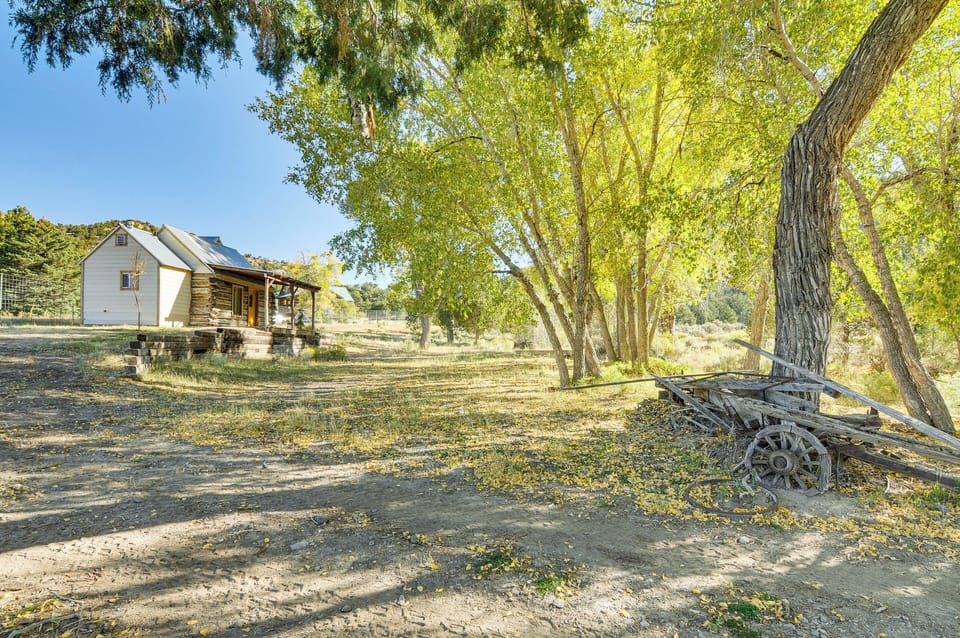 House (1 Bedroom) | Interior