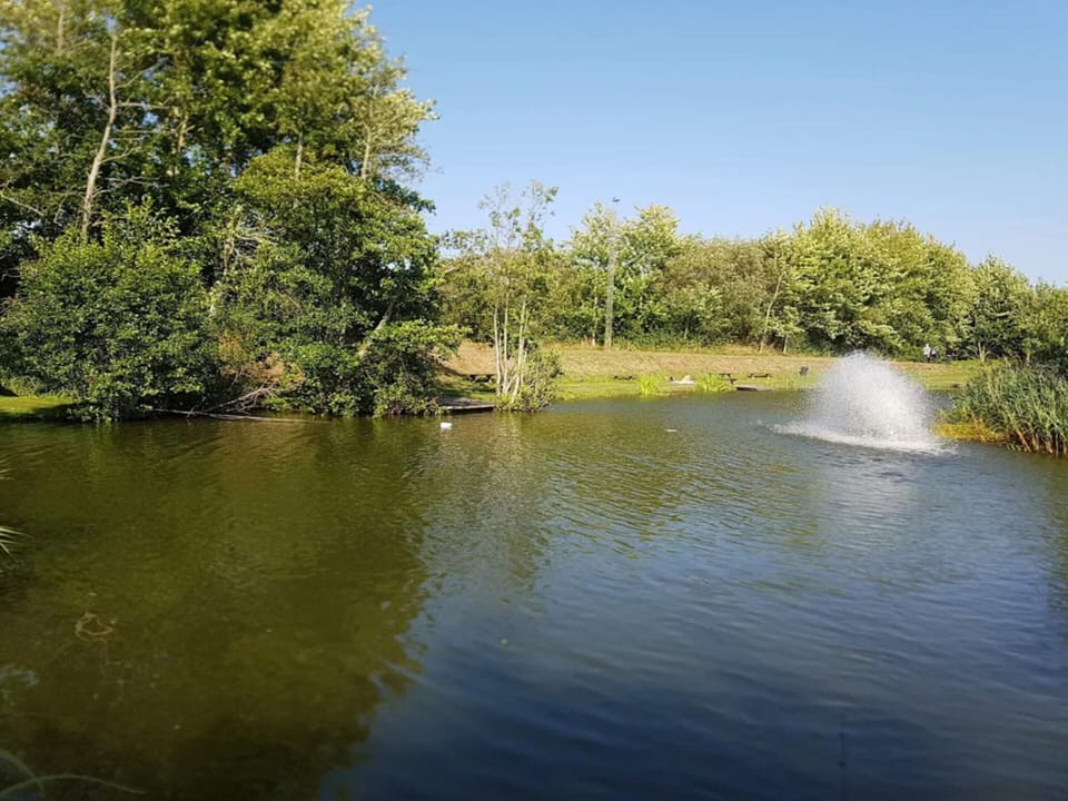House | Water view