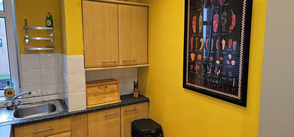 Standard Apartment, Partial Sea View | Private kitchen | Electric kettle, toaster