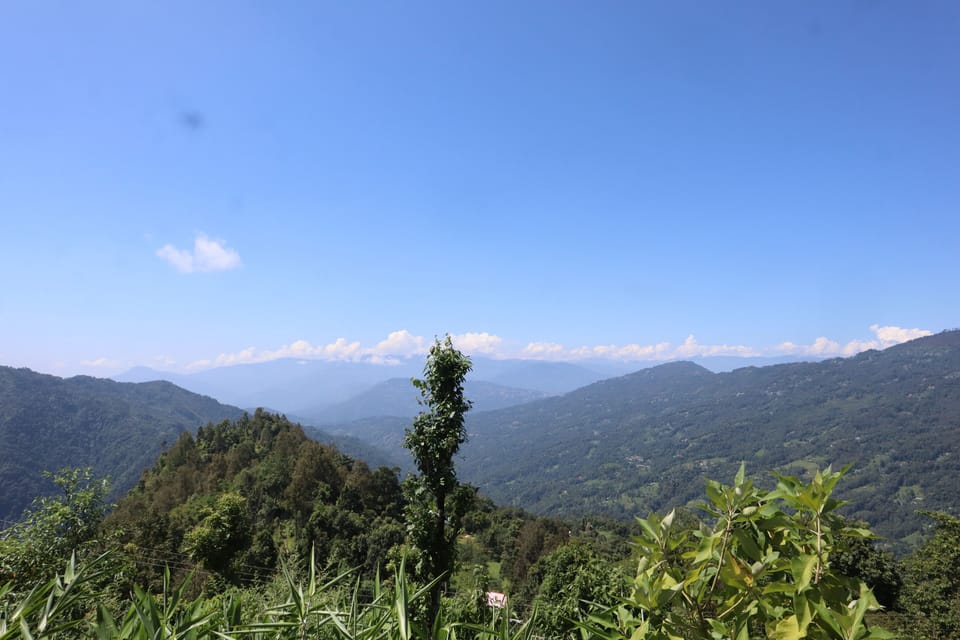 Mountain view