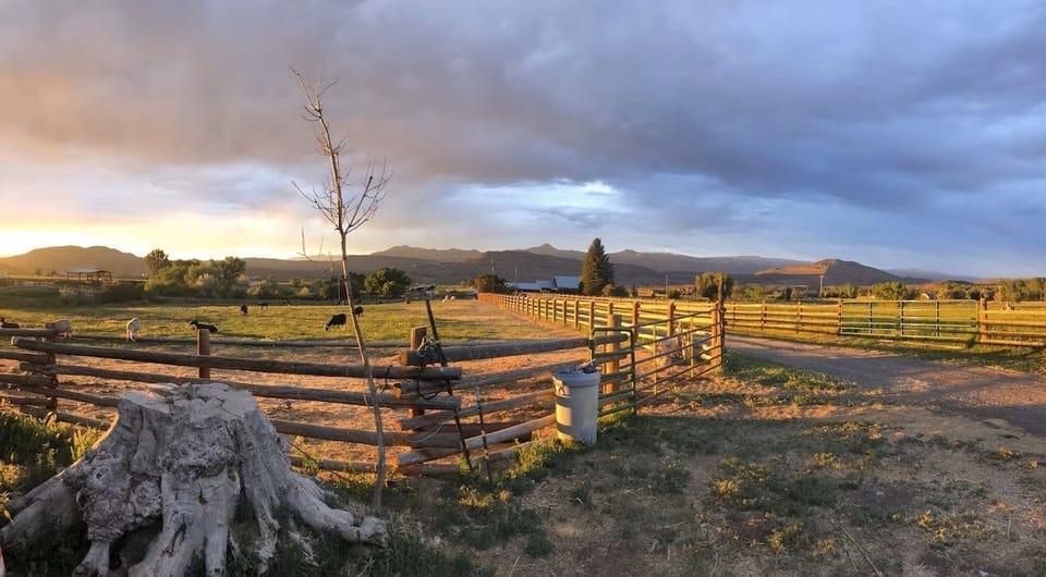 Cabin, 2 Bedrooms | Miscellaneous