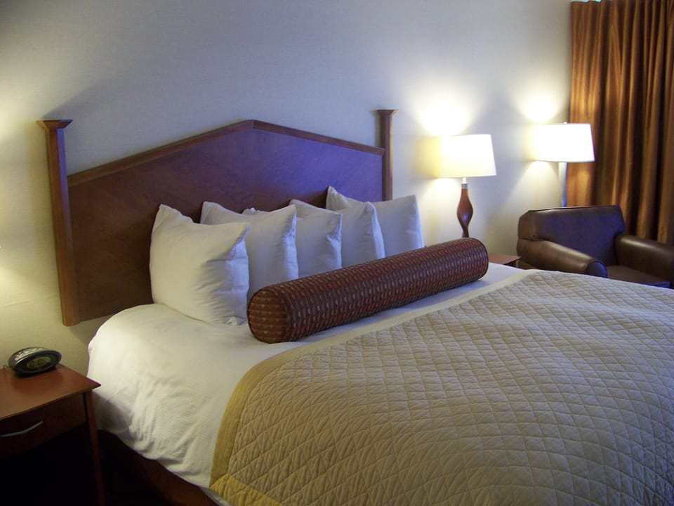 Executive Room, 1 King Bed (Pets Not Allowed) | Down comforters, pillowtop beds, individually decorated