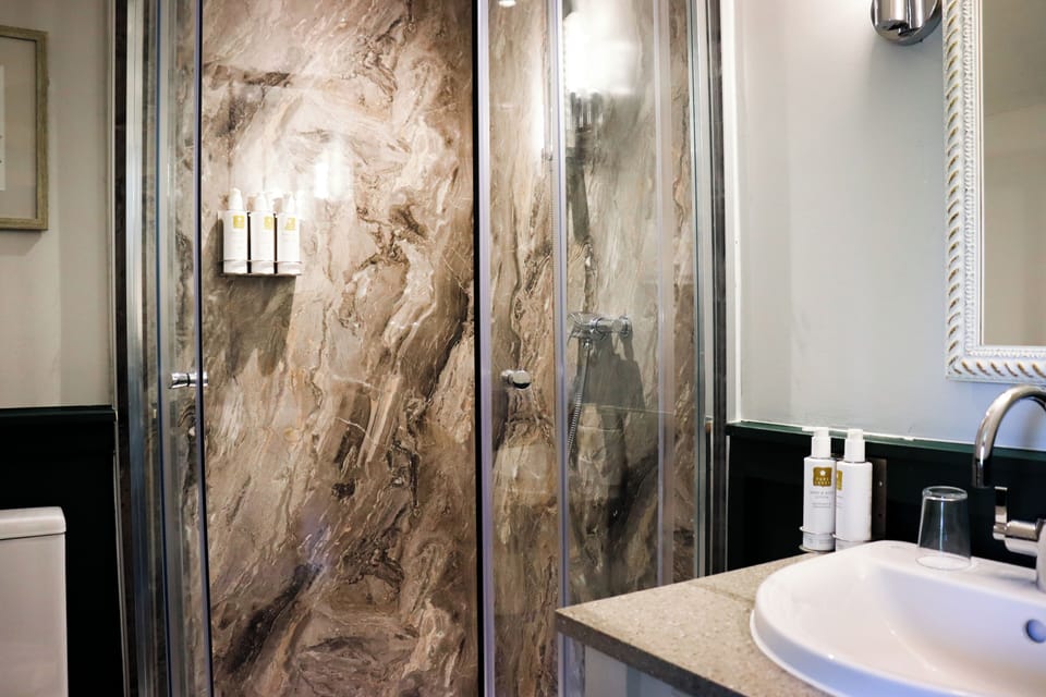 Deluxe Double Room | Bathroom | Shower, hair dryer, towels, soap