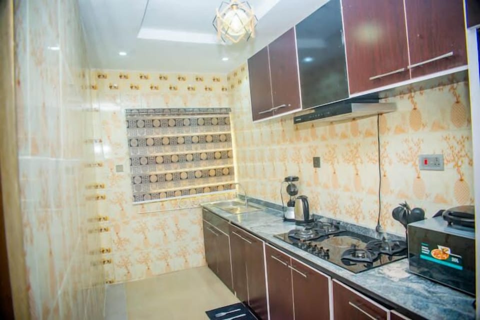 Family Apartment, Balcony, City View | Private kitchen | Fridge, microwave, oven, stovetop