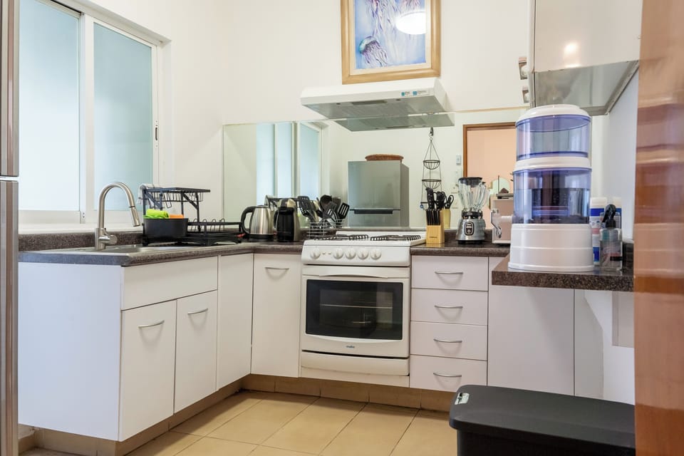 Deluxe Apartment, City View | Private kitchen | Electric kettle