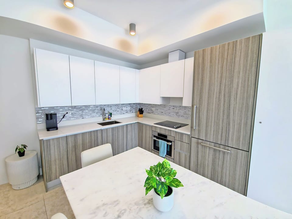Deluxe Apartment, Balcony, City View | Private kitchen | Full-size fridge, microwave, oven, stovetop