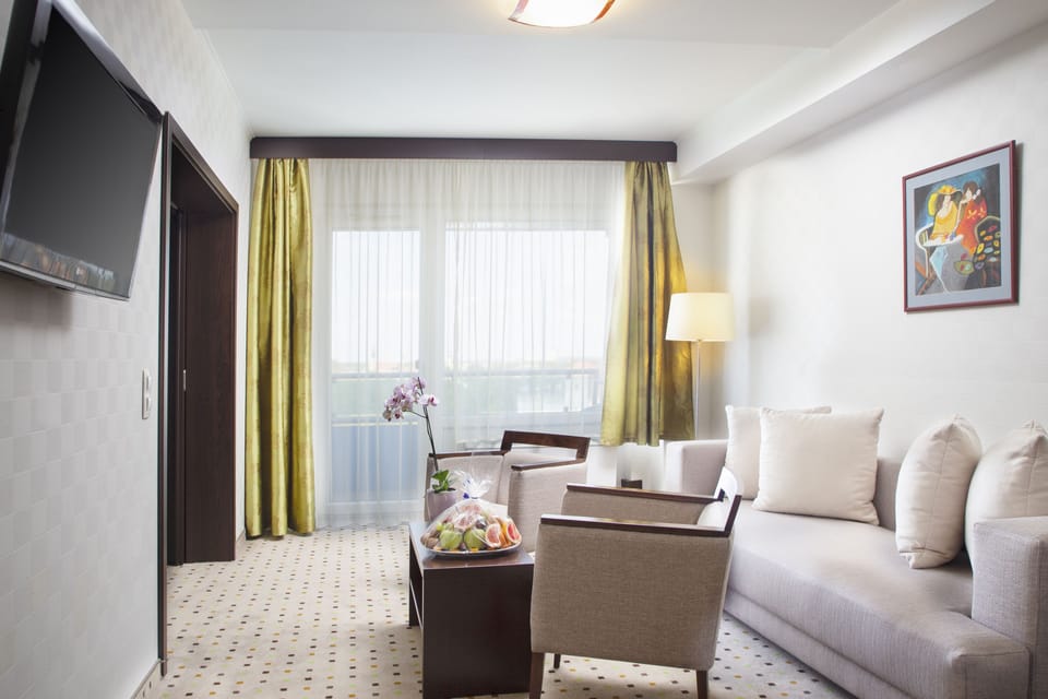 Deluxe Suite (Castle view) | Living area | TV
