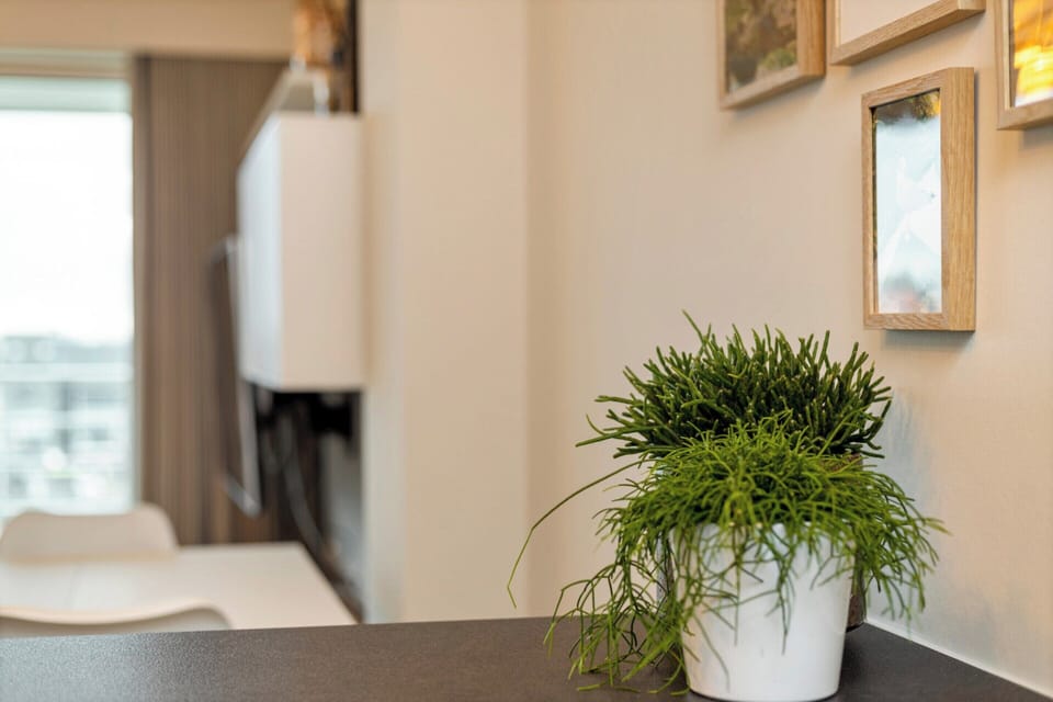 Apartment | Interior