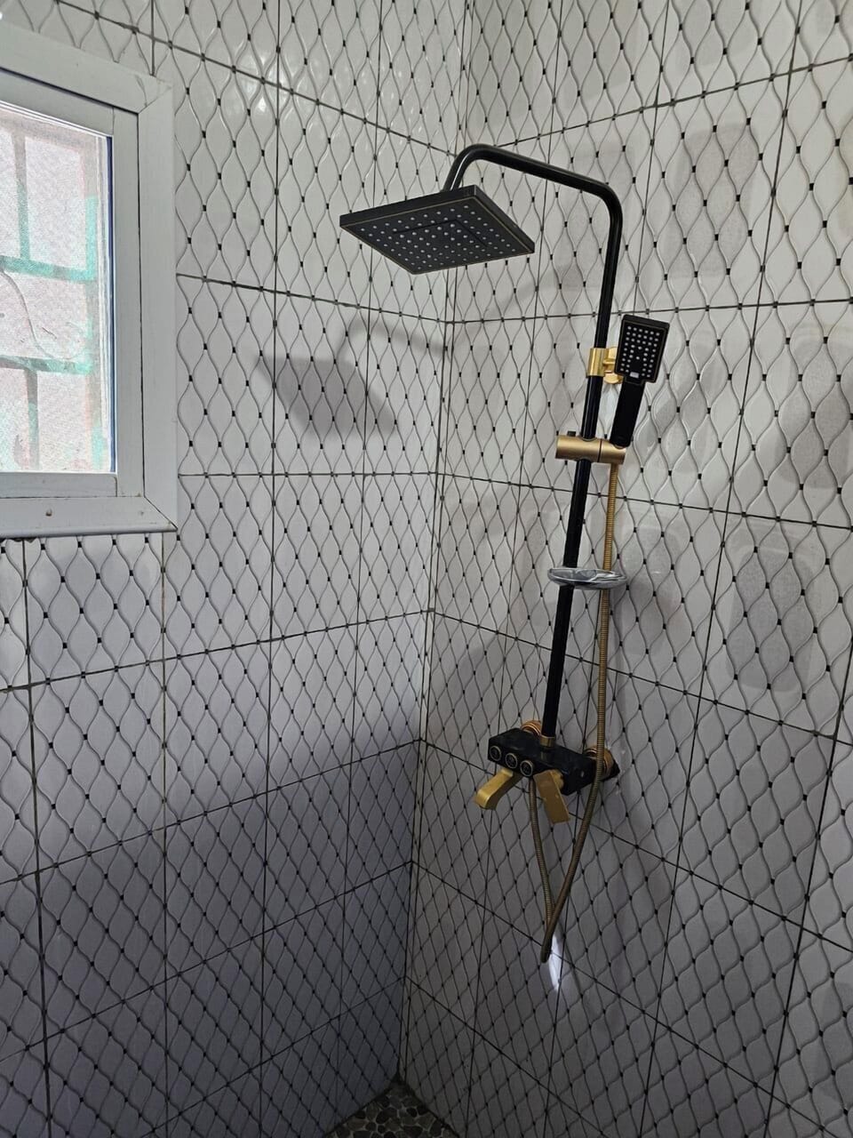 Shower, towels, toilet paper