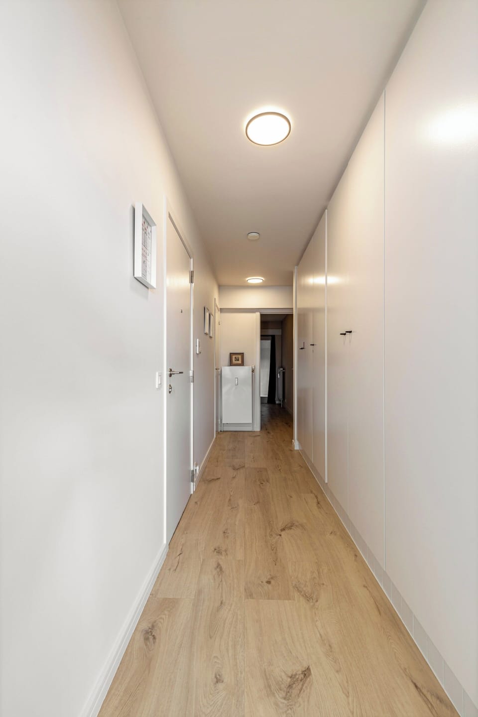 Apartment | Interior