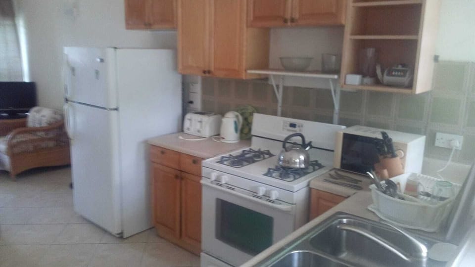 Deluxe Apartment, Marina View | Private kitchen