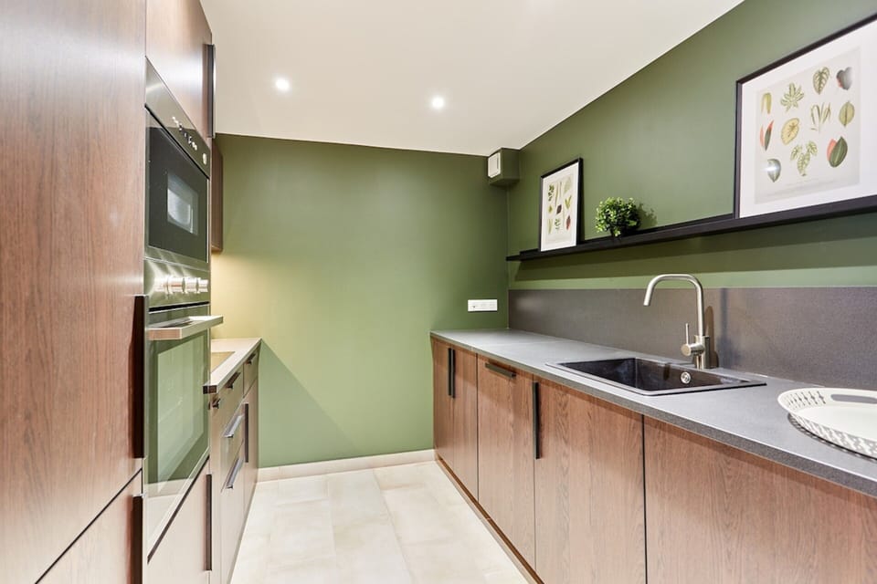 Apartment | Private kitchen | Coffee/tea maker, fridge, microwave, oven