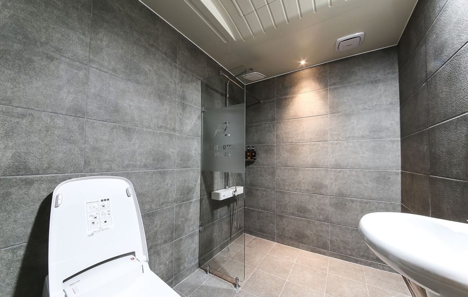 Hair dryer, electronic bidet, towels, soap