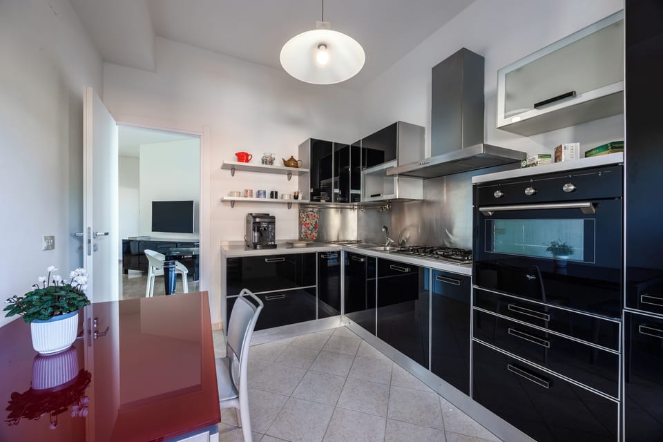 Shared fridge, oven, stovetop, dishwasher