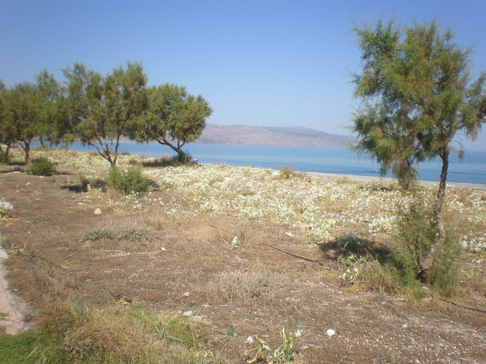 Beach nearby, black sand, sun loungers, beach umbrellas