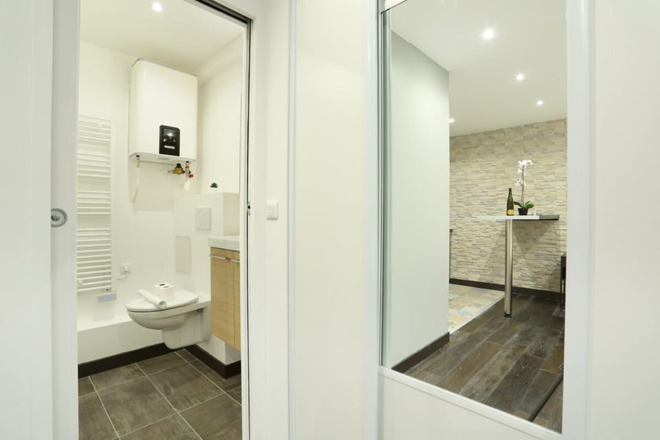 Apartment | Bathroom | Hair dryer, soap, shampoo