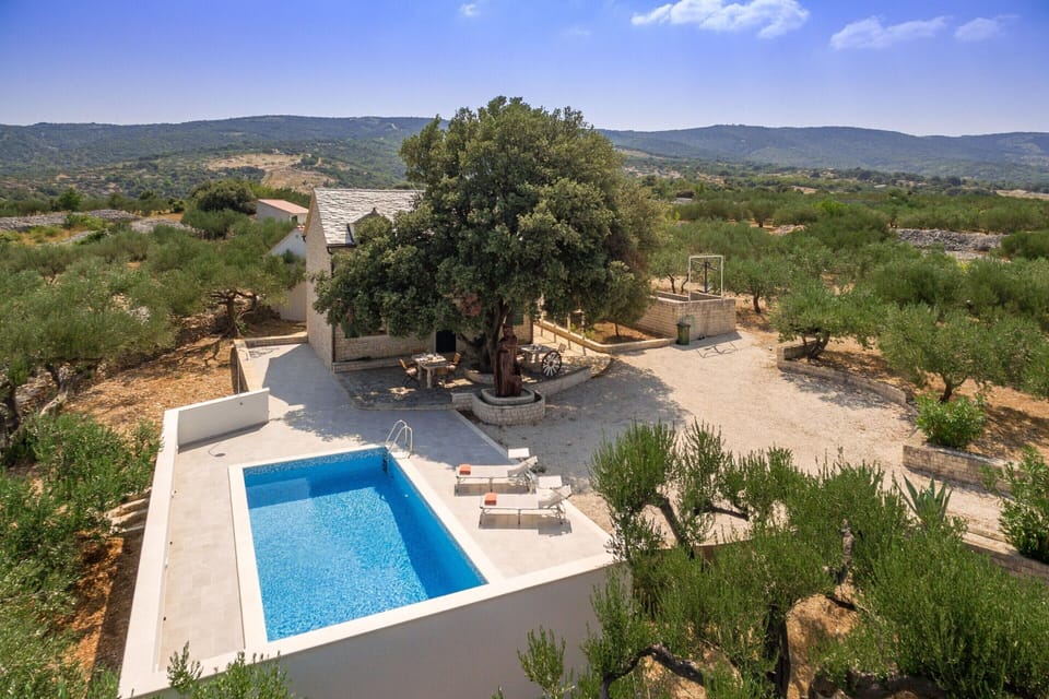 House | Pool | Indoor pool, outdoor pool