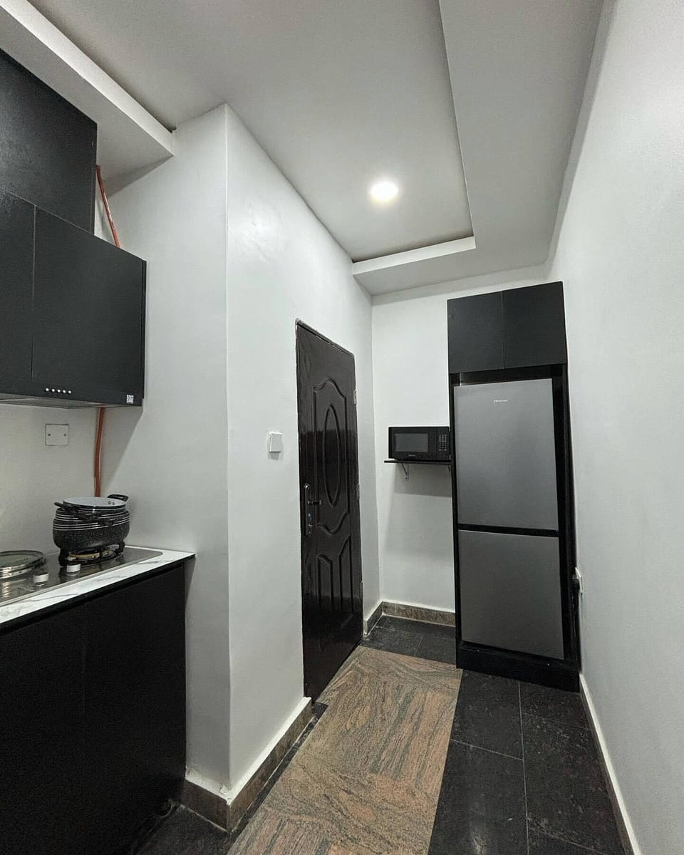 Economy Apartment, Balcony, City View | Private kitchen | Fridge, microwave, oven, stovetop