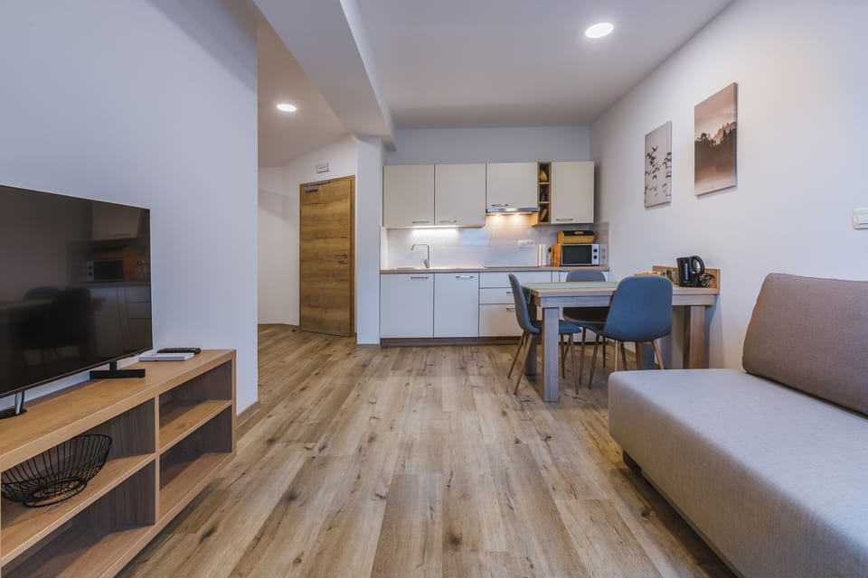 Classic Apartment | Living area | 43-inch LED TV with cable channels