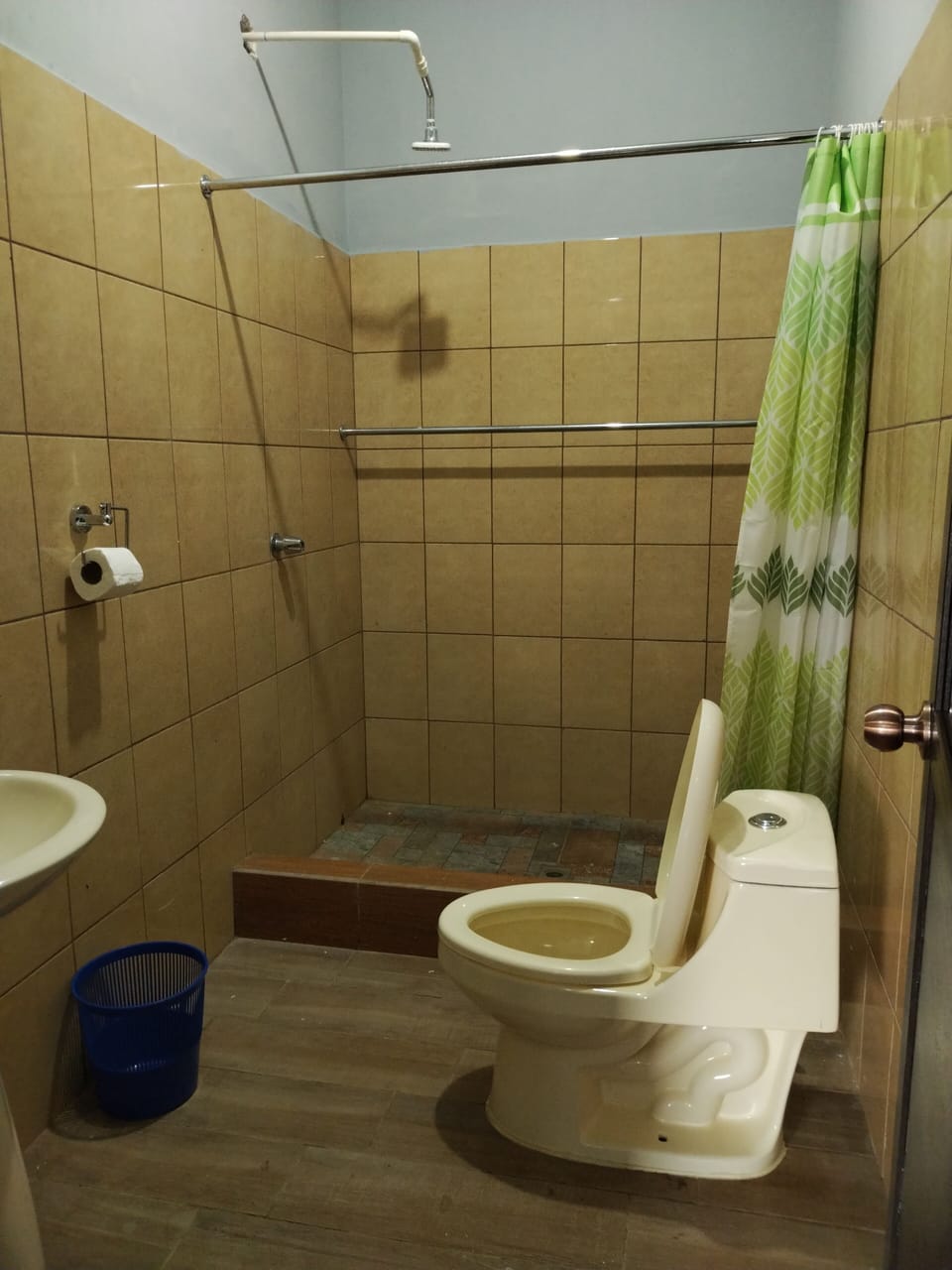 Deluxe Double Room | Bathroom | Shower, towels, soap, shampoo