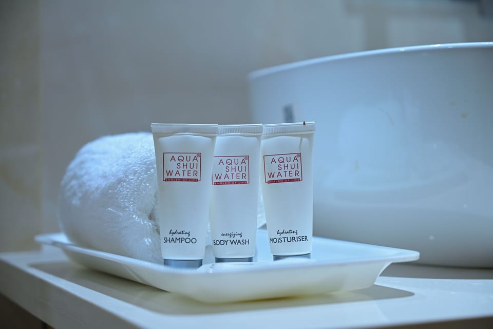 Luxury Double or Twin Room | Bathroom | Free toiletries, hair dryer, slippers, bidet