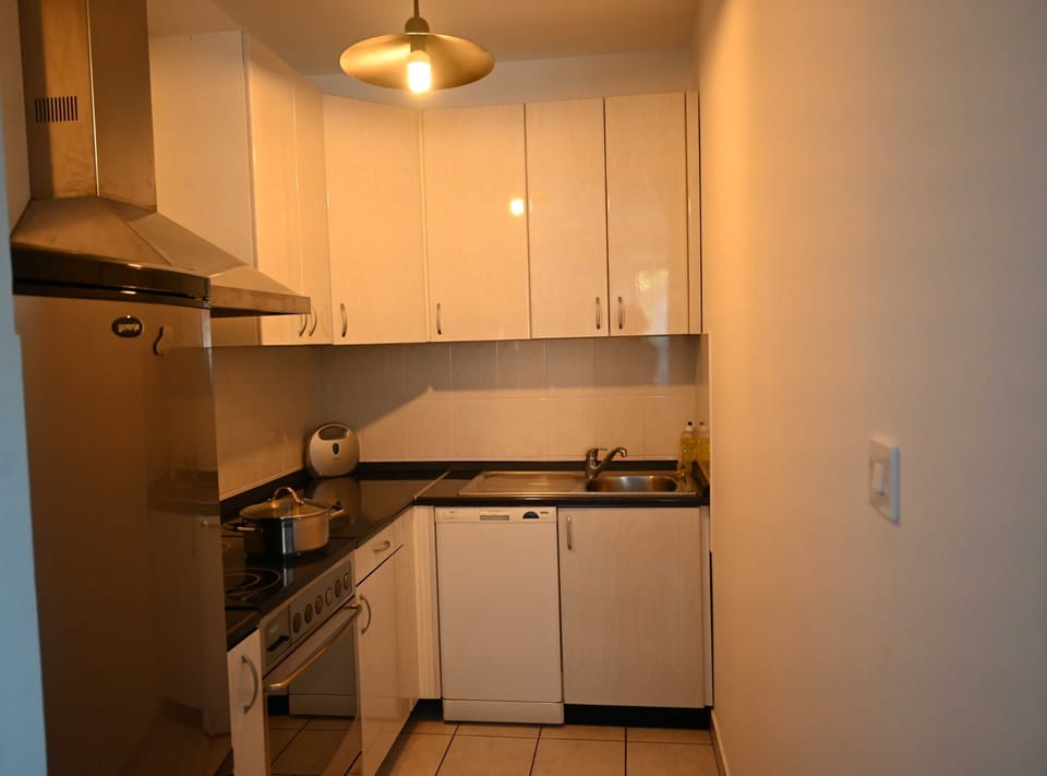 Apartment (One Bedroom Apartment) | Private kitchen | Fridge