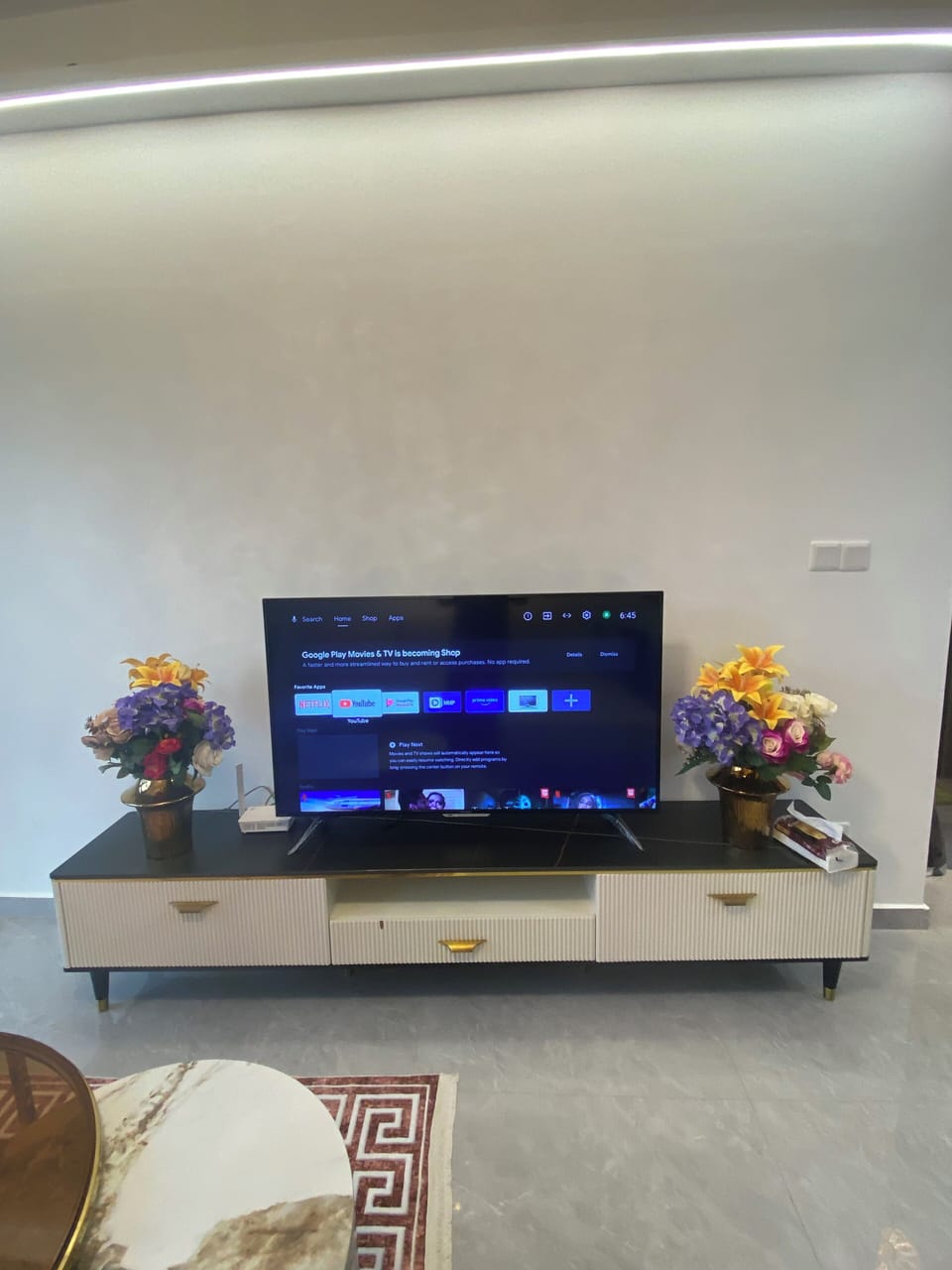 Television