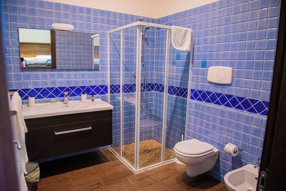 Hair dryer, bidet, towels, soap