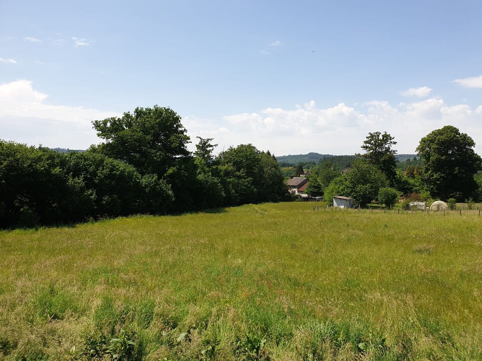 Standard Double Room, Garden View | View from room