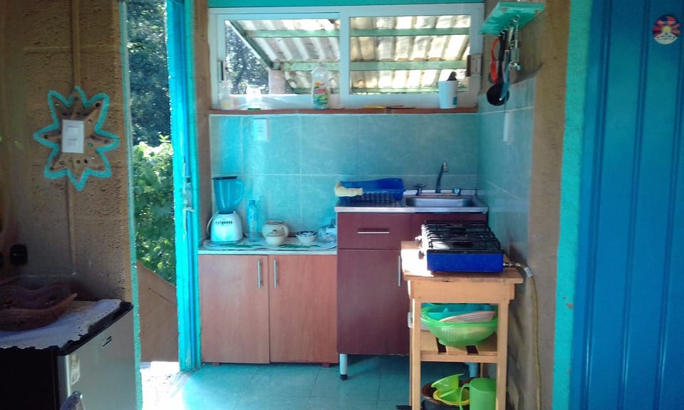 Classic Apartment, Mountain View | Private kitchen | Fridge, eco-friendly cleaning products