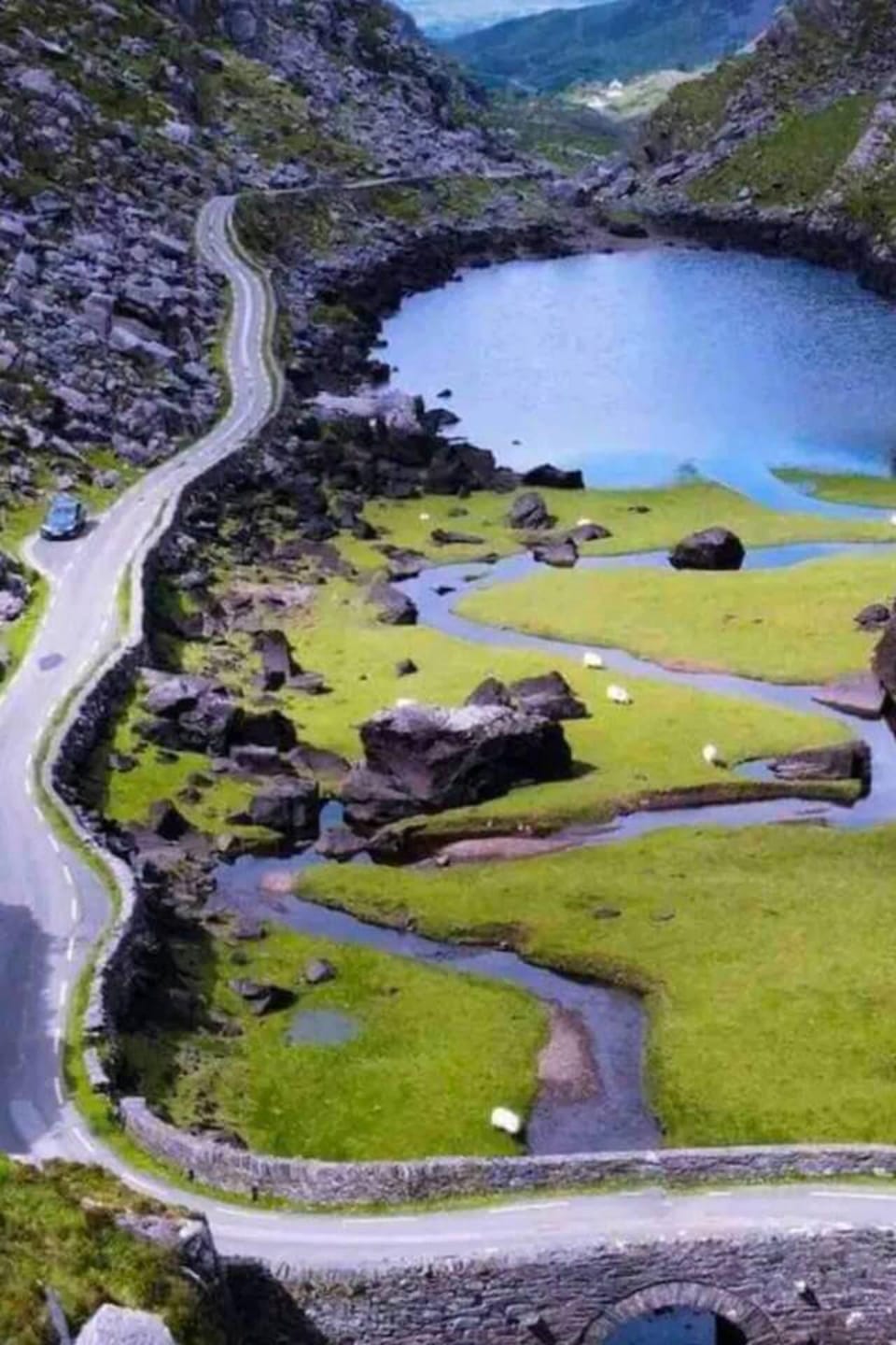 House | Aerial view