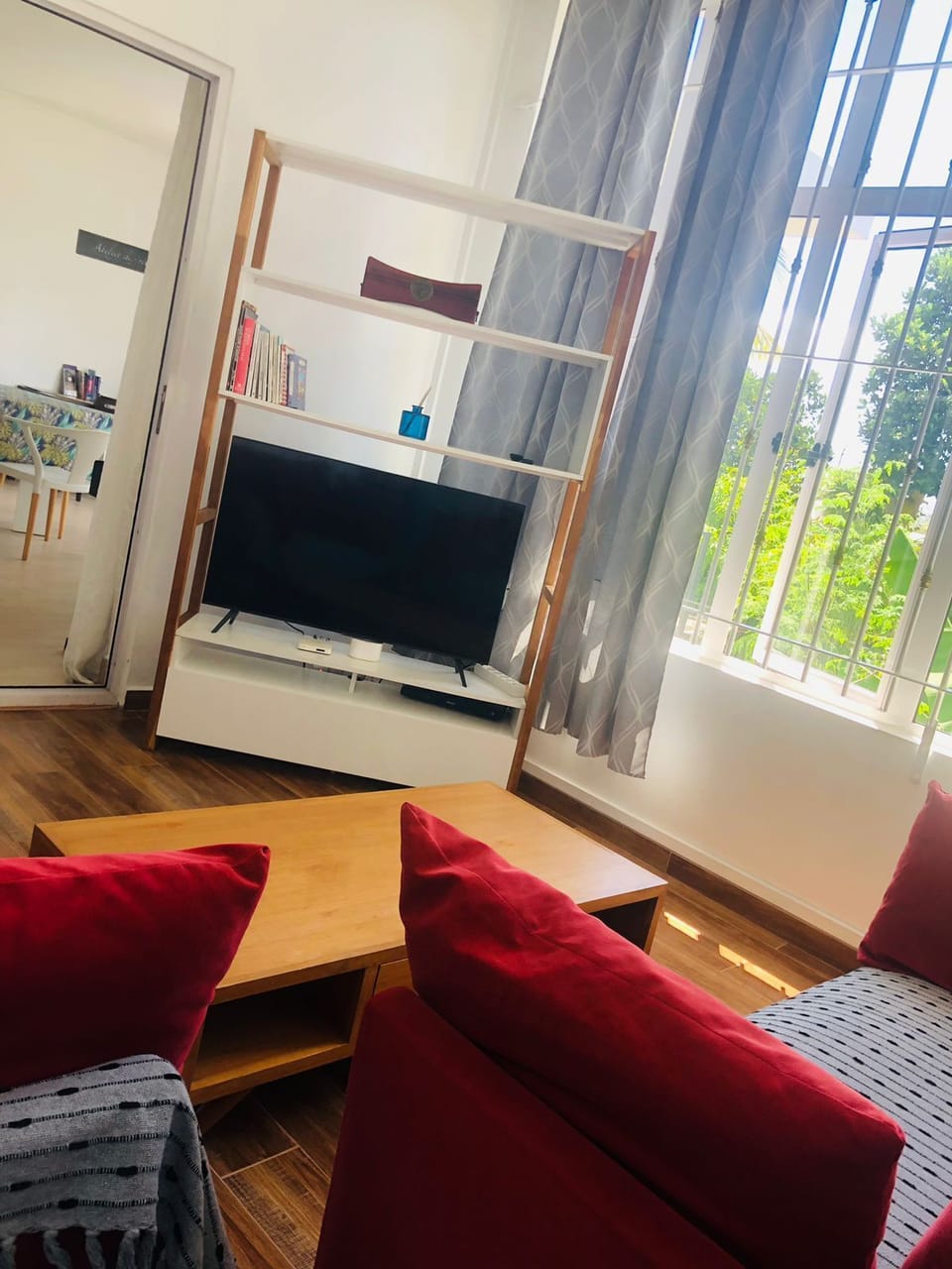 TV