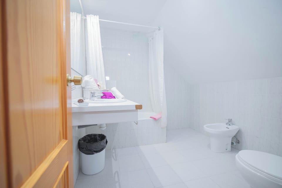 Hair dryer, bidet, towels, soap