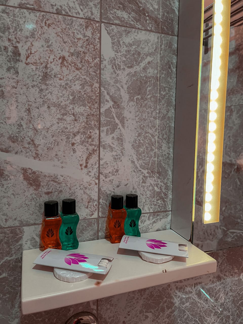 Hair dryer, towels, soap, shampoo