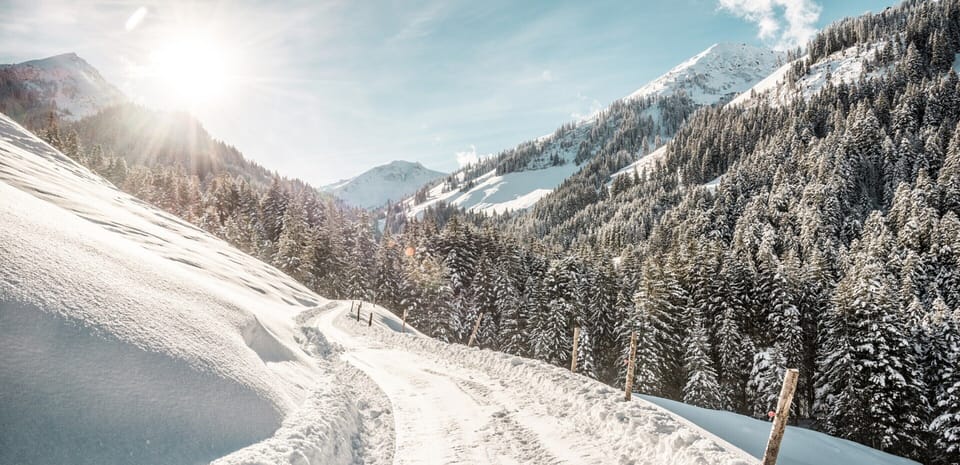 Apartment | Snow and ski sports