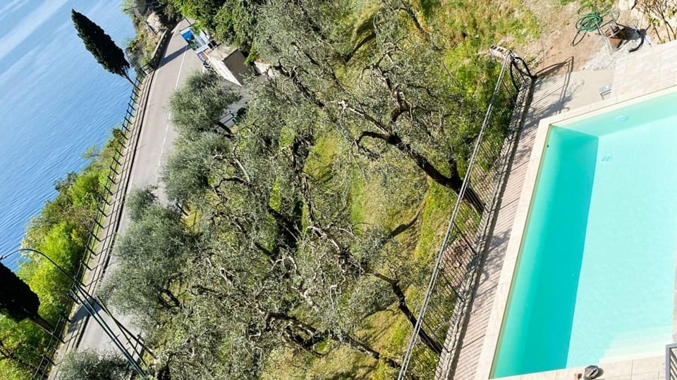 Apartment | Pool | Outdoor pool