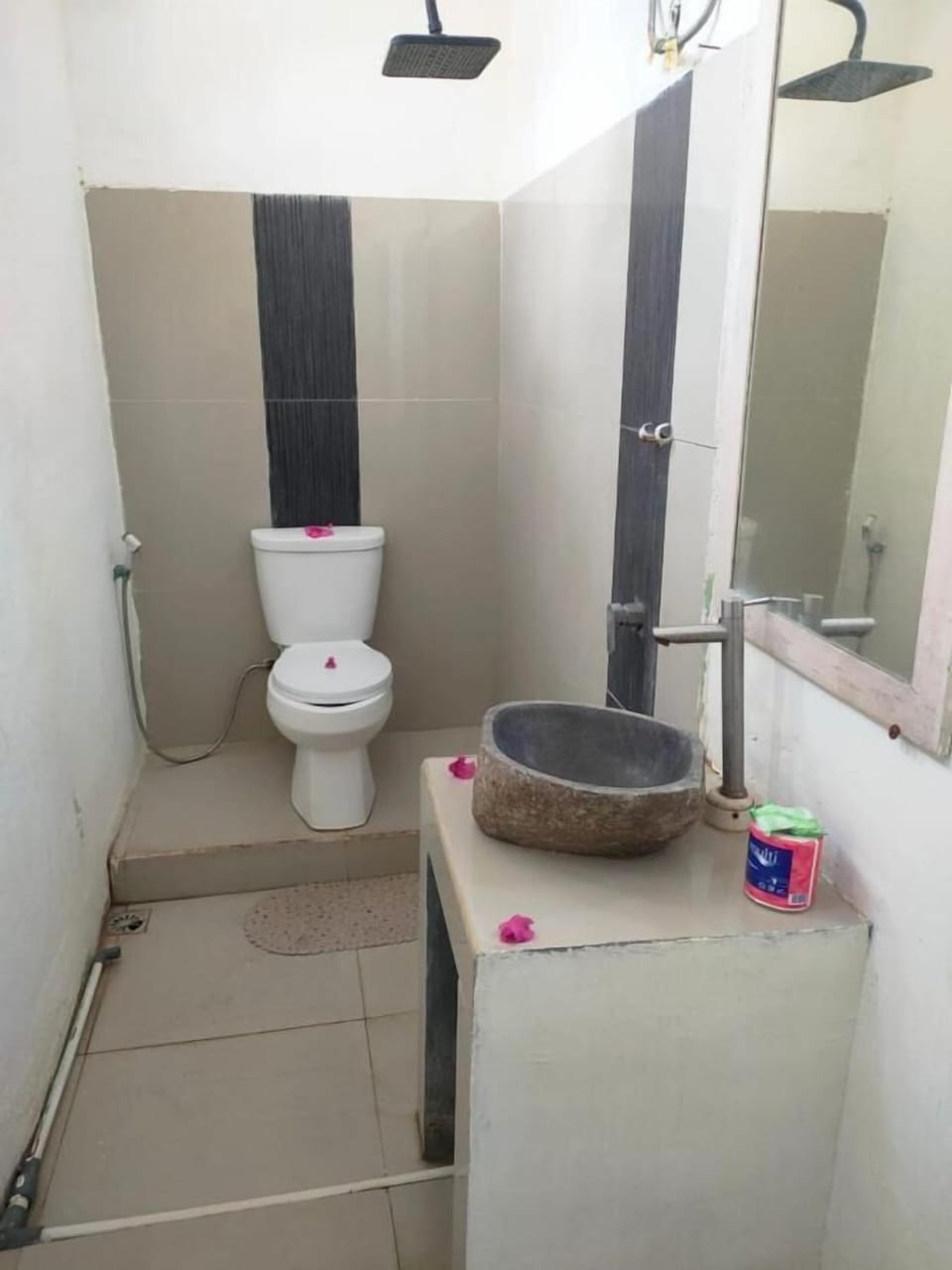 Shower, towels, toilet paper