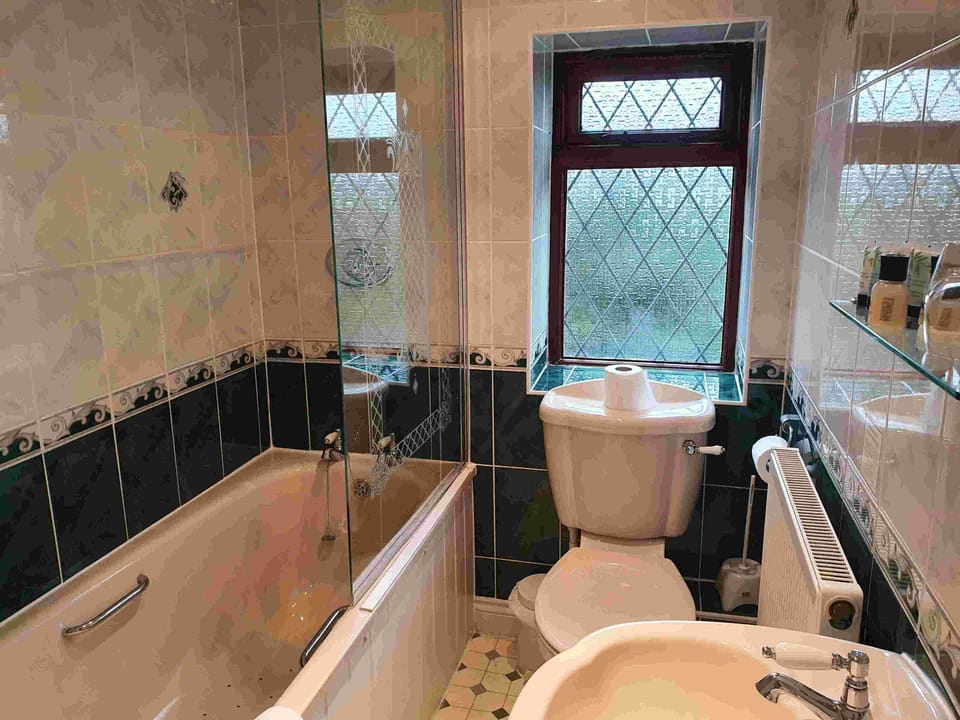 Standard Twin Room | Bathroom | Free toiletries, hair dryer, towels, soap