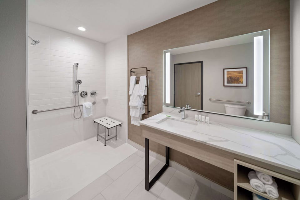 Room, 1 King Bed, Mobility Accessible, Non Smoking (Mobility, Roll-in Shower) | Accessible bathroom