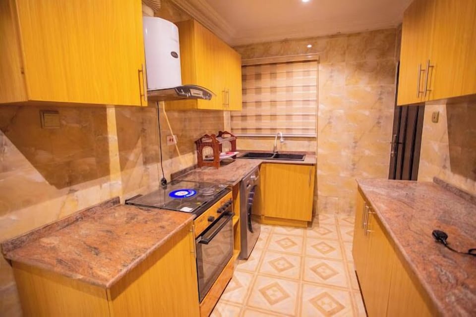 Deluxe Apartment, Balcony, City View | Private kitchen | Fridge, microwave, oven, stovetop