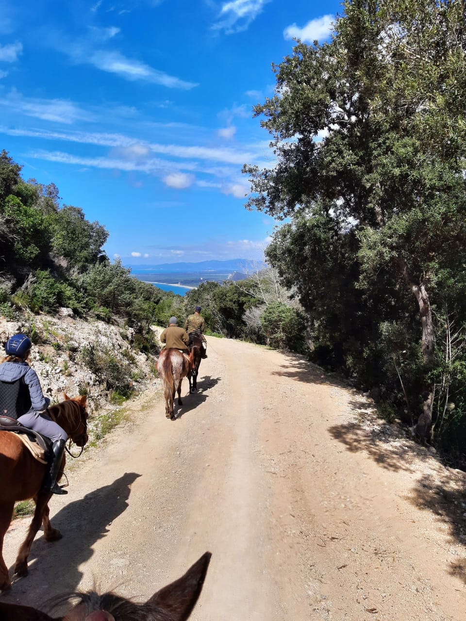 Horseback riding