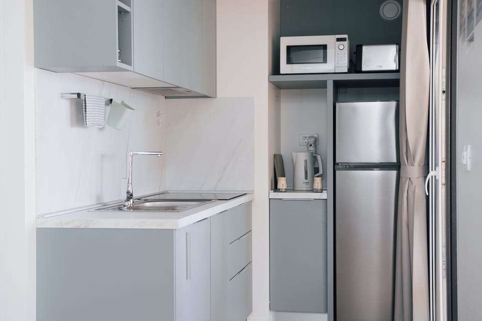 Fridge, cookware/dishes/utensils