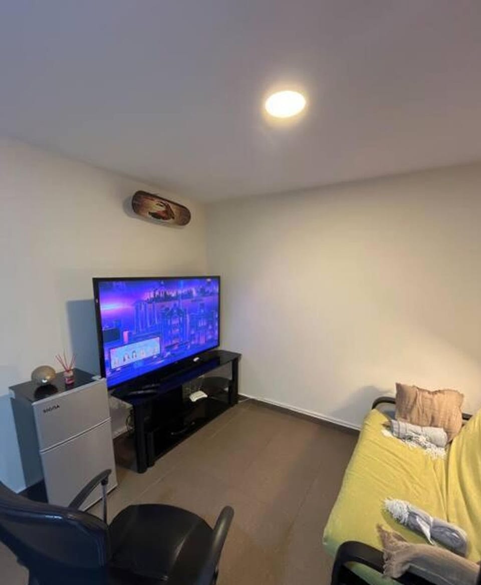 Standard Apartment | Living area | 65-inch Smart TV with digital channels, Netflix, first-run movies